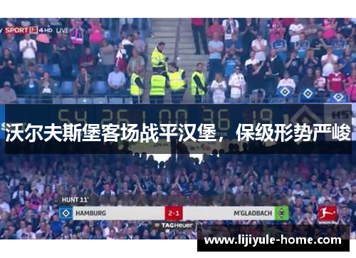 沃尔夫斯堡客场战平汉堡，保级形势严峻